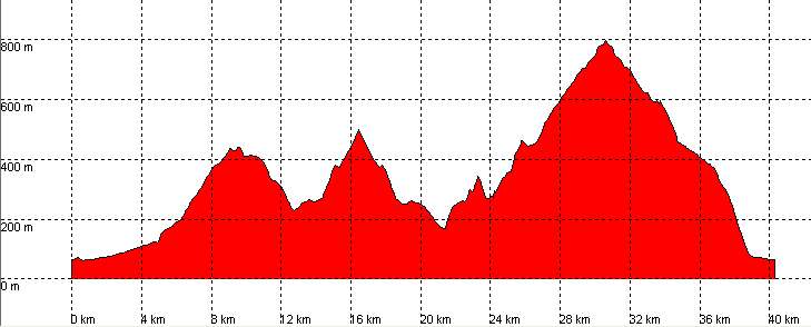 perfil ruta 56