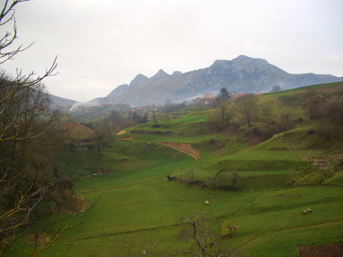 foto1
