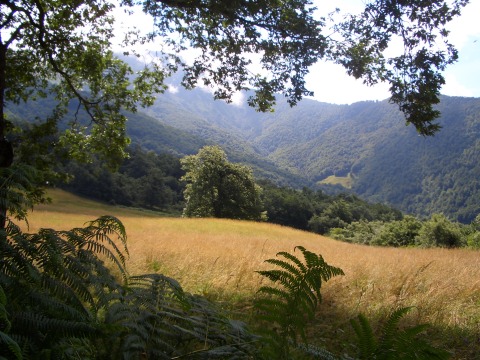 foto2