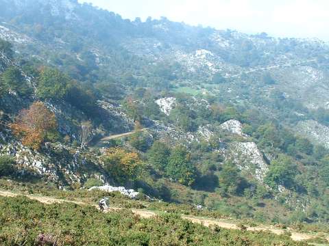 foto 6