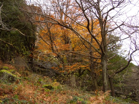 foto5