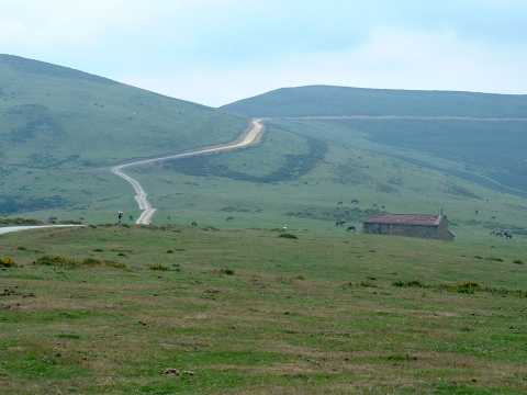 foto1