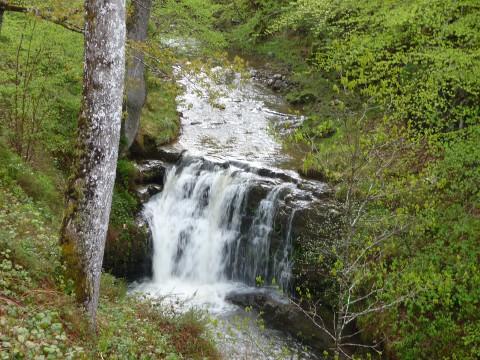foto2