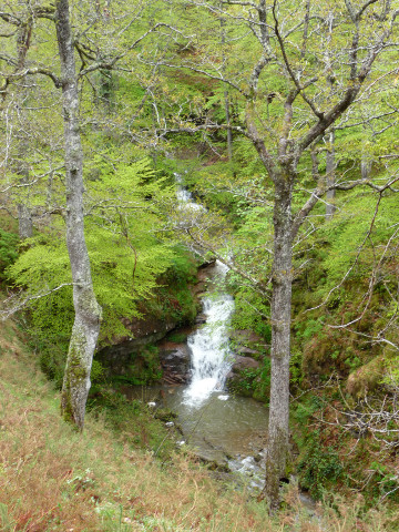 foto2