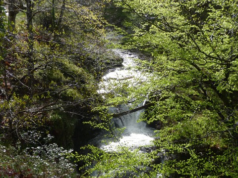 foto2