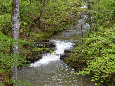 foto2