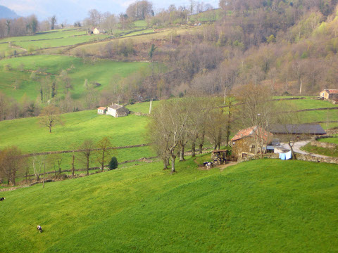 foto2