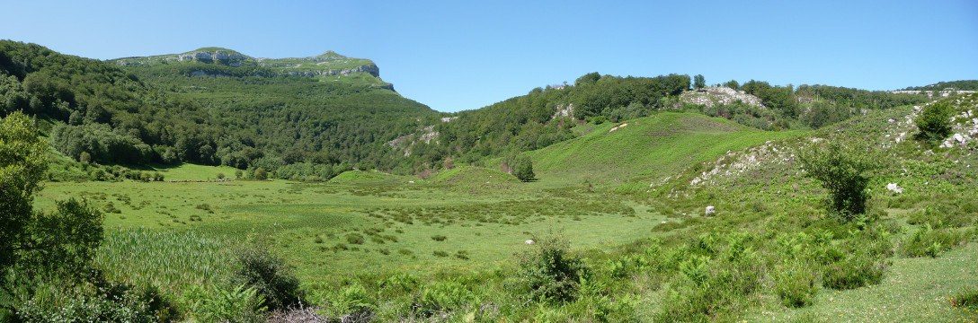 Brenavinto